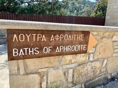 The Summer House - 30