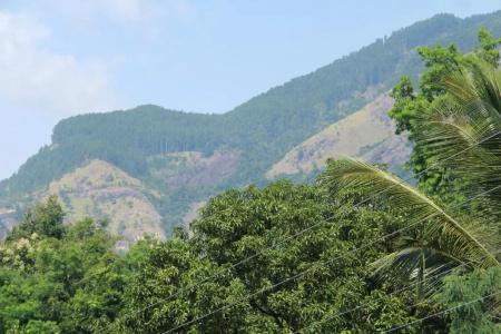 Anura Guest Inn - 38