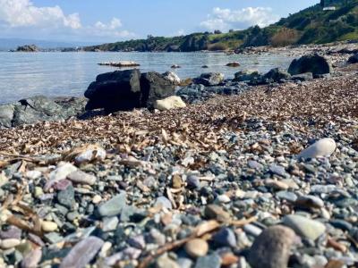 The Summer House - 31