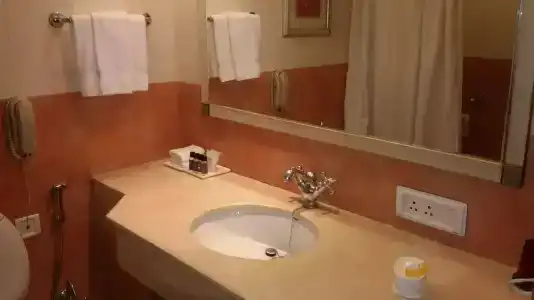 Park Plaza Chennai Omr - 9