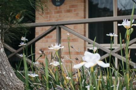 Quality Suites Banksia Gardens- Apartment - 116