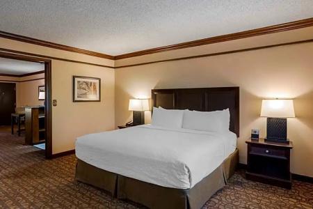 Best Western Inn of the Ozarks - 99