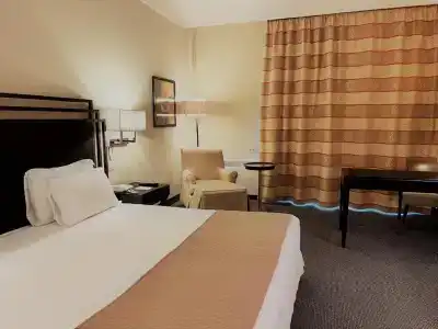 Crowne Plaza Rome St. Peter's, an IHG - 52