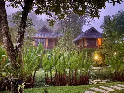 Pura Vida - 29