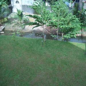 Sunrise Palace Negombo - 14