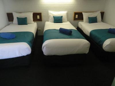 Coachman - 3
