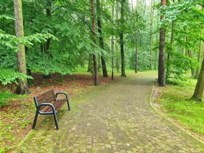 Stacja Nowa Gdynia Bed & Breakfast - 13