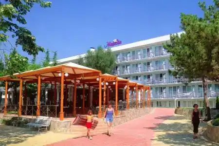 Magnolia - 15