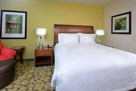 Hilton Garden Inn Airport - 80