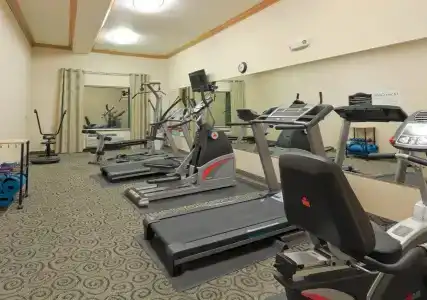 Holiday Inn Express & Suites Central - 19