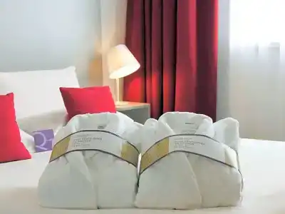Mercure Tours Nord - 81