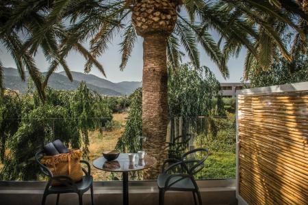 Drossia Palms and Nisos Beach Suites - 16