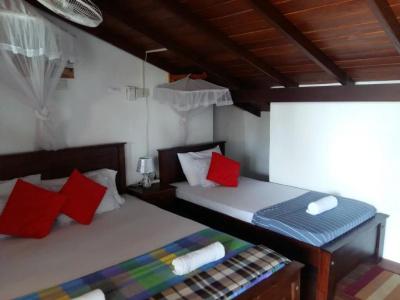 Southern Comforts - Galle Fort - 68