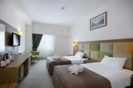Palan Ski & Convention Resort - 31
