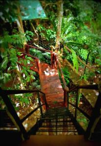 Khao sok tree house resort - 7