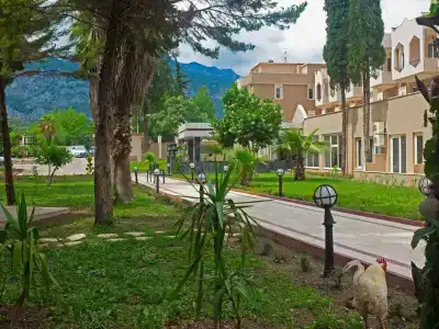 Alexius Beach (ex. Beldiana) - 10