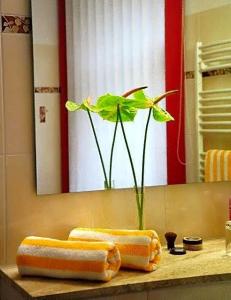 -Pension Am Schwanenteich - 8