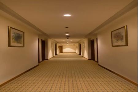 Swiss-Belinn - 43