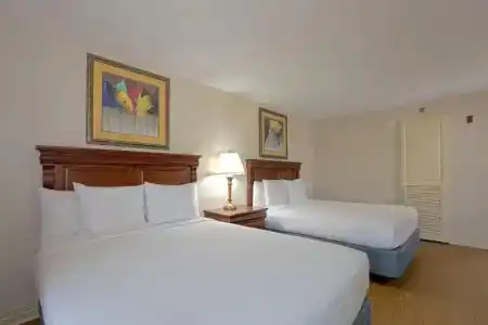 Music Road Resort and Inn - 69