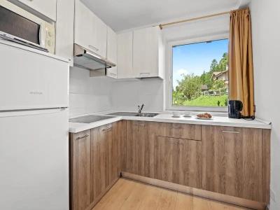 ApartDes Alpes - 69