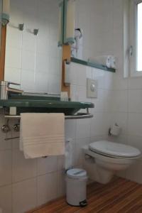 ibis Antwerpen Centrum - 10