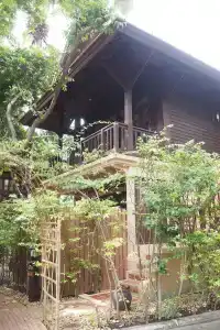 Rabbit Resort Pattaya-Sha Extra Plus - 25