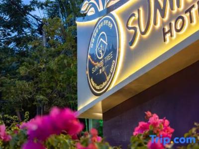 Summer Tree Inn (The Captain's Hostel) - 17