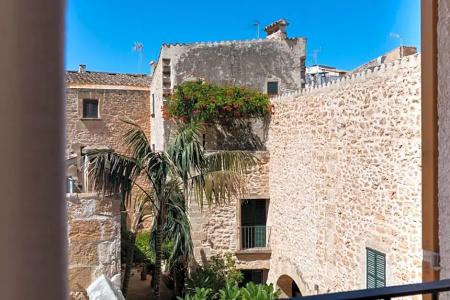 Ara Alcudia - 50