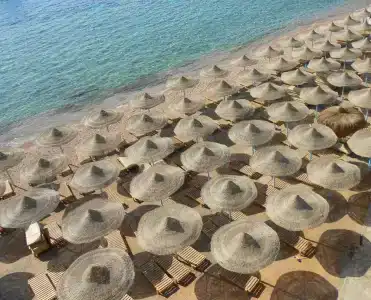 Gardenia Plazas & Resorts - 12