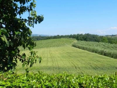 Agriturismo Montegonfoli - 29