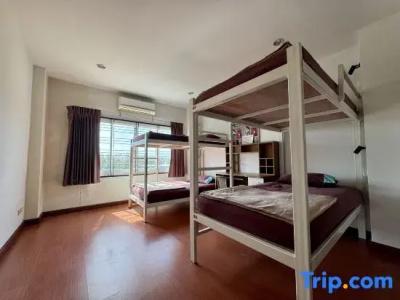 Ananas Phuket Central Hostel - 36