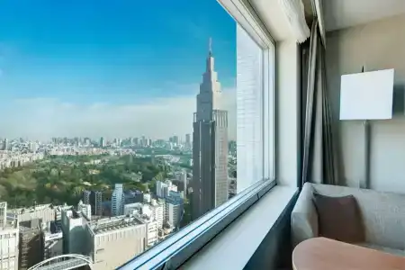 Odakyu Century Southern Tower - 17