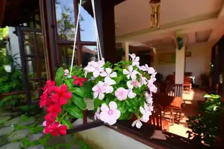 Windbell Villa Hoi An - 49