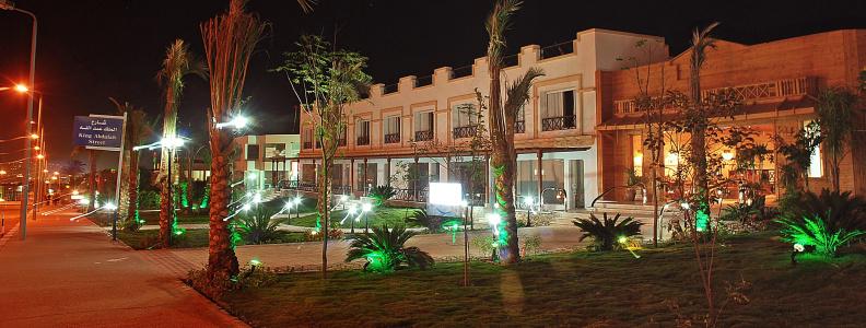 Falcon Naama Star - 19