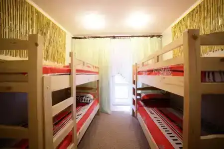 VIVA hostel  - 19
