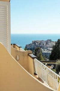 Belvedere - 20