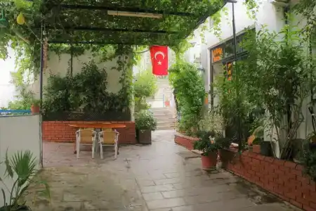 Durak - 50