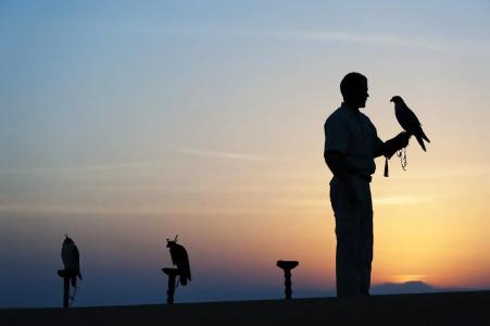 Al Maha, a Luxury Collection Desert Resort & Spa, Dubai - 32