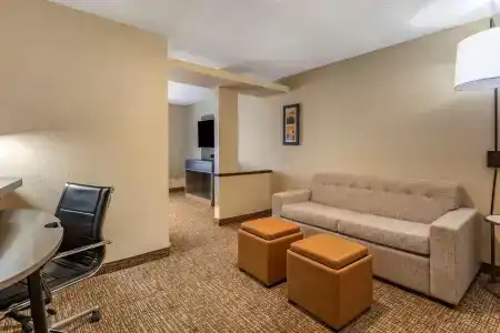 Comfort Inn & Suites North Dallas-Addison - 62