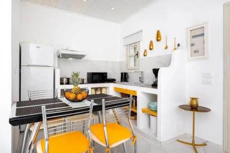 Petri Suites - 131