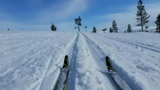 Northern Lights Village Levi - 31