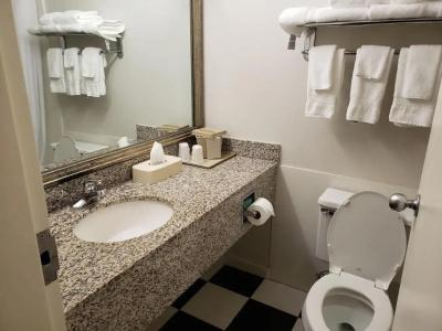 Comfort Inn - 7