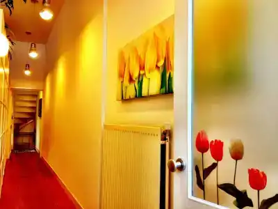 Tulip Guesthouse - 9