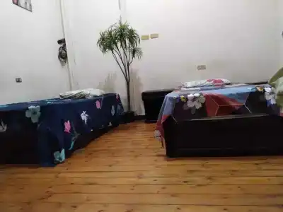Safary Hostel - 11