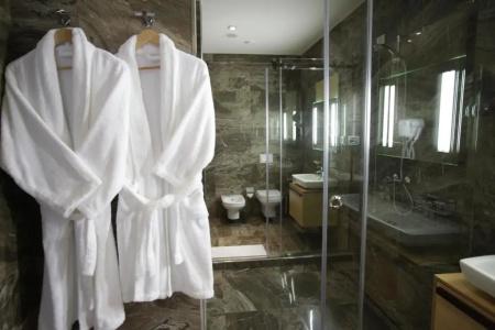 Best Western Premier Ark - 90