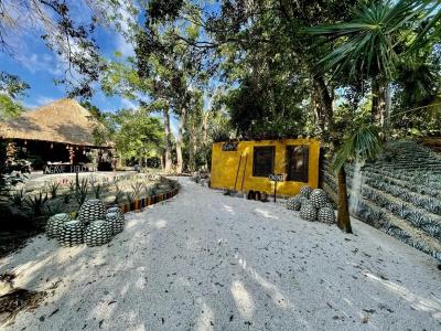 Tequila Cancun - 15
