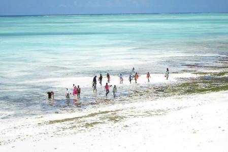 Sazani Beach and Tidal Lounge - 26