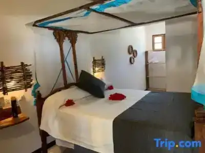 Nest Style Beach Zanzibar - 31