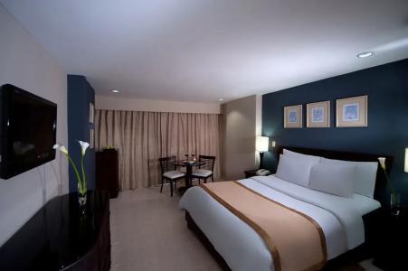 Hodelpa Centro Plaza - 67