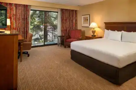 DoubleTree by Hilton Seattle Airport - 38